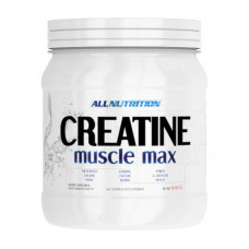 Creatine Muscle Max (500 g, unflavored)