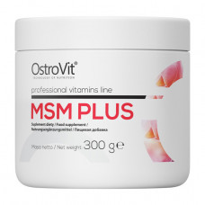 MSM Plus (300 g, pure)