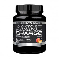 Amino Charge (570 g, apple)