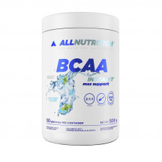 BCAA Instant Max Support (500 g, orange)