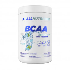 BCAA Instant Max Support (500 g, blueberry)