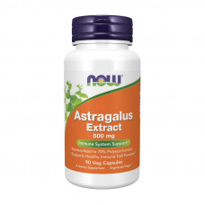 Astragalus Extract 500 mg (90 veg caps)