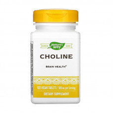 Choline 500 mg (100 veg caps)
