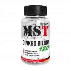 Ginkgo Biloba 120 mg (90 veg caps)