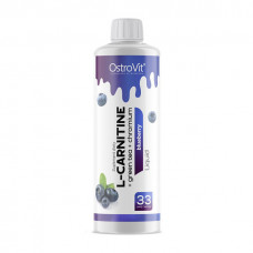 L-Carnitine Liquid + Green Tea + Chromium (500 ml, blueberry)