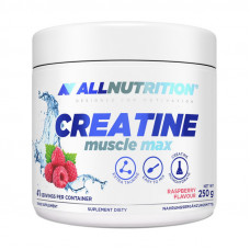 Creatine Muscle Max (250 g, raspberry)