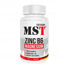 Zinc Magnesium B6 (120 vcaps)